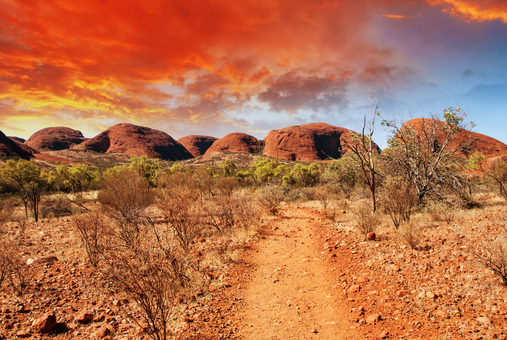 Why Australia is the Perfect Destination for Off-Roading Enthusiasts